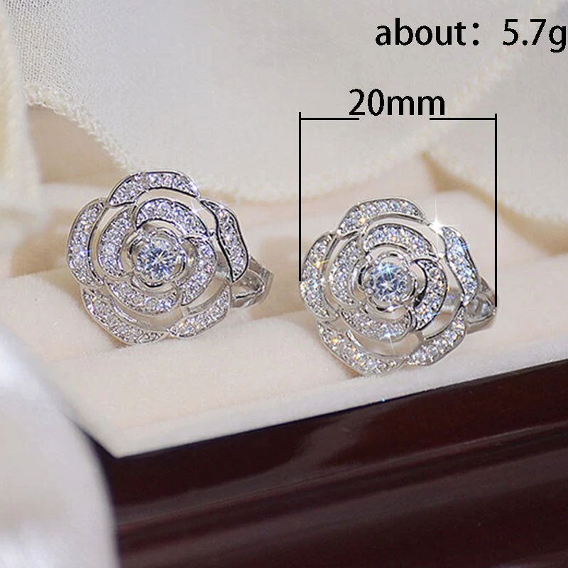 Beautiful Earring with Unique Style
