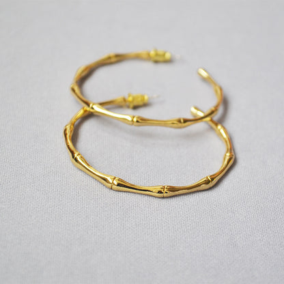Charming Gold Earring for Any Occasion