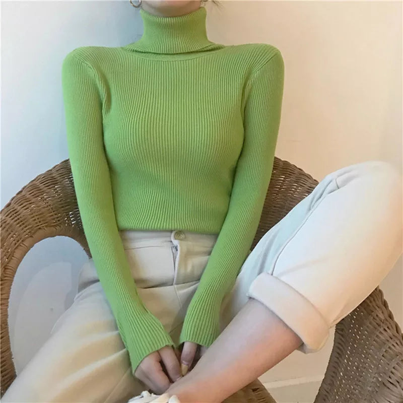 Elegantly Designed Sweater
