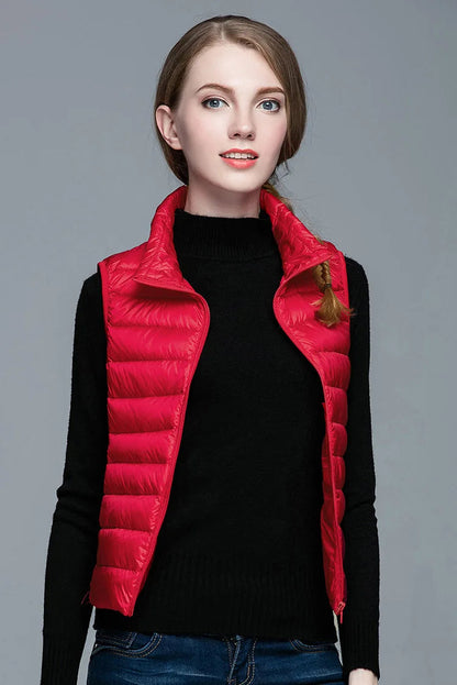 Classic Designed Jacket