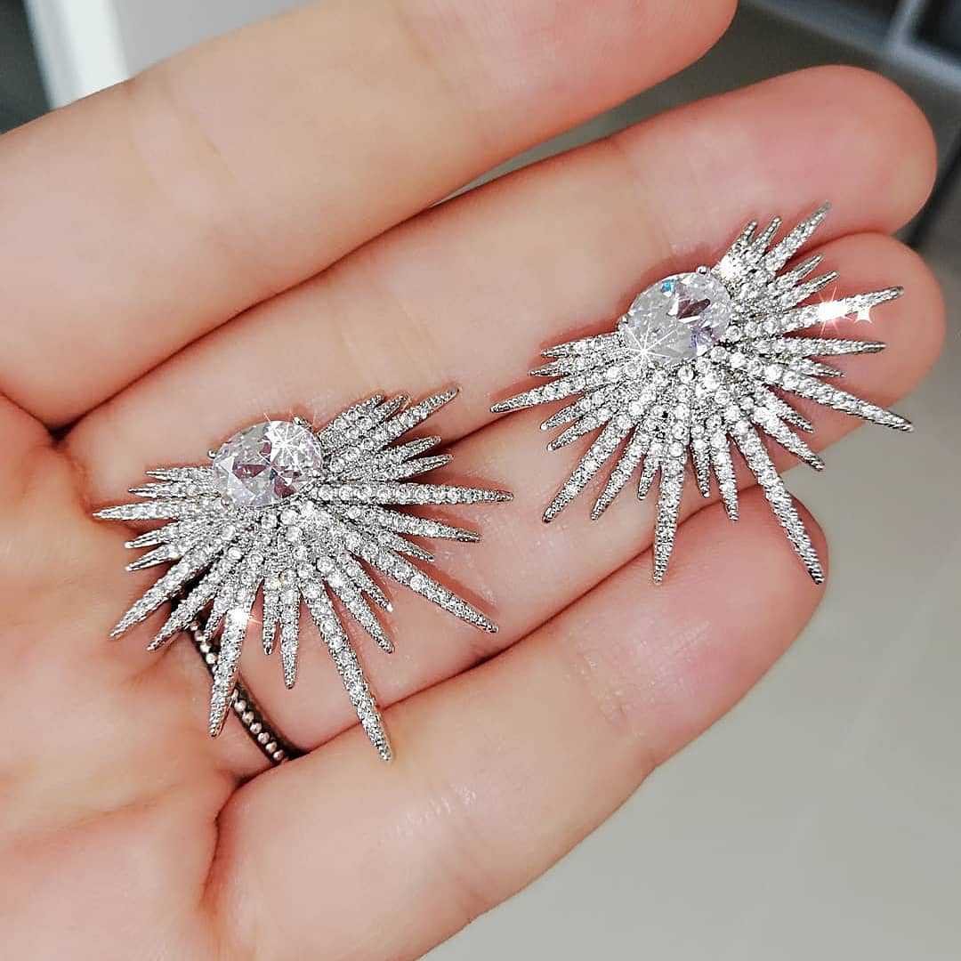 Stunning Earring for Daily Wear