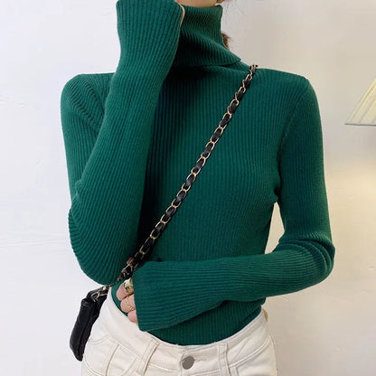 Elegantly Designed Sweater