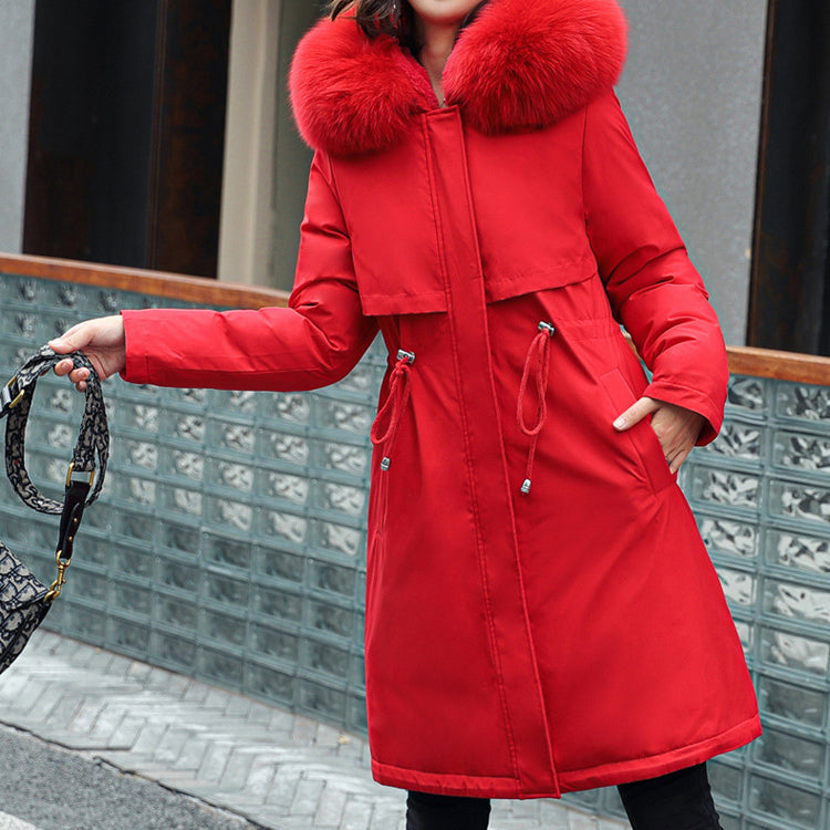 Thoughtfully Designed Jacket