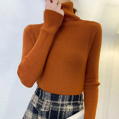 Elegantly Designed Sweater
