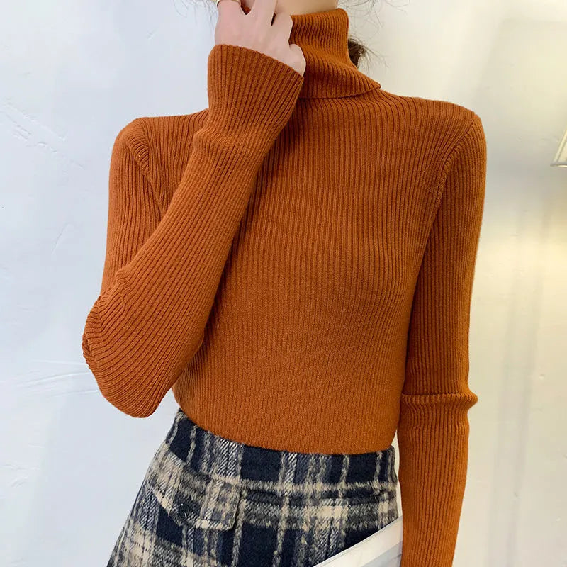 Elegantly Designed Sweater