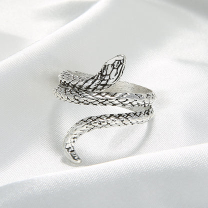 Beautiful Silver Ring with Unique Style