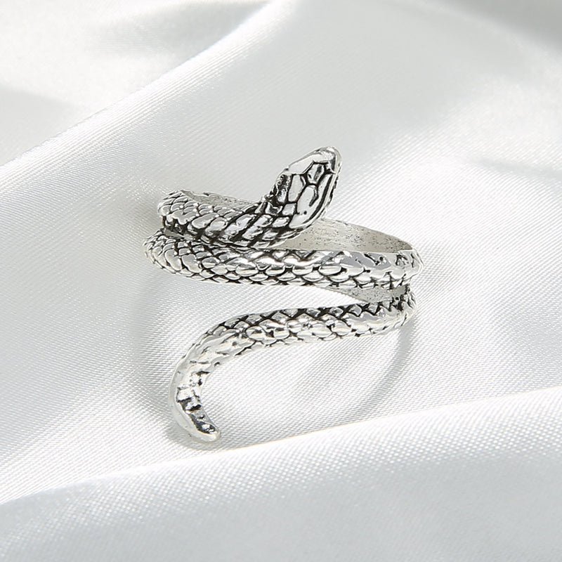 Beautiful Silver Ring with Unique Style