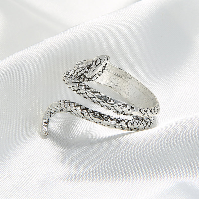 Beautiful Silver Ring with Unique Style