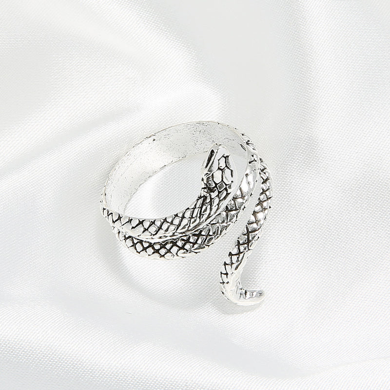 Beautiful Silver Ring with Unique Style