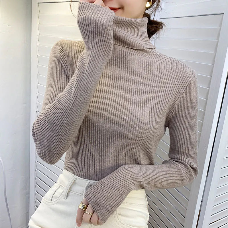 Elegantly Designed Sweater