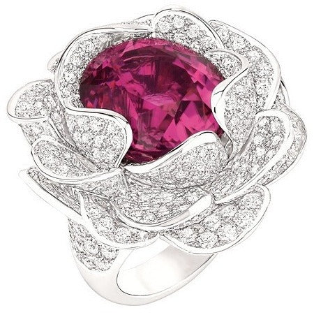 Charming Ring for Any Occasion