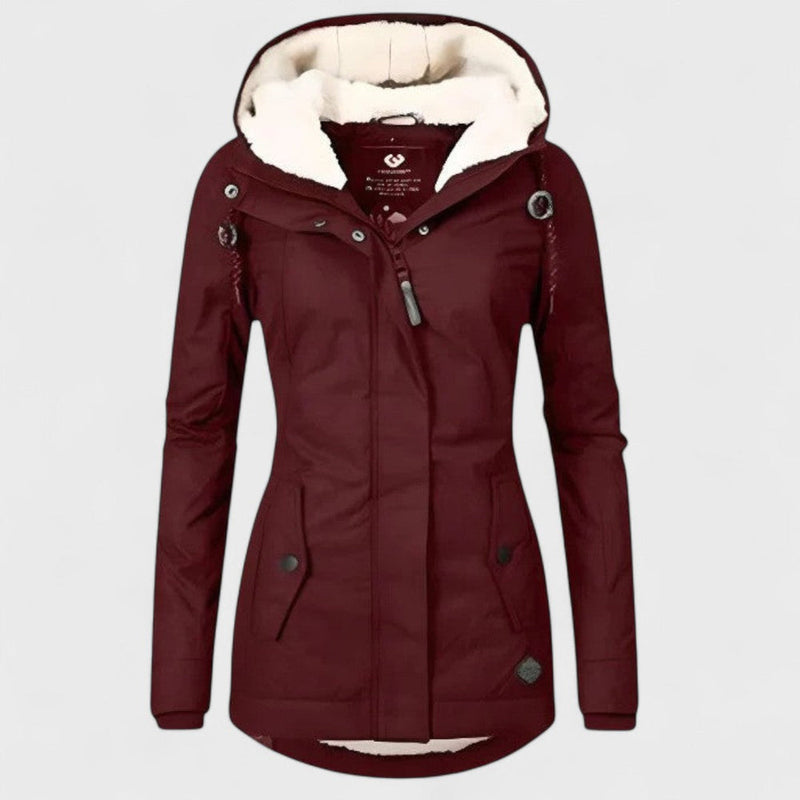 Elegantly Designed Jacket