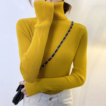 Elegantly Designed Sweater