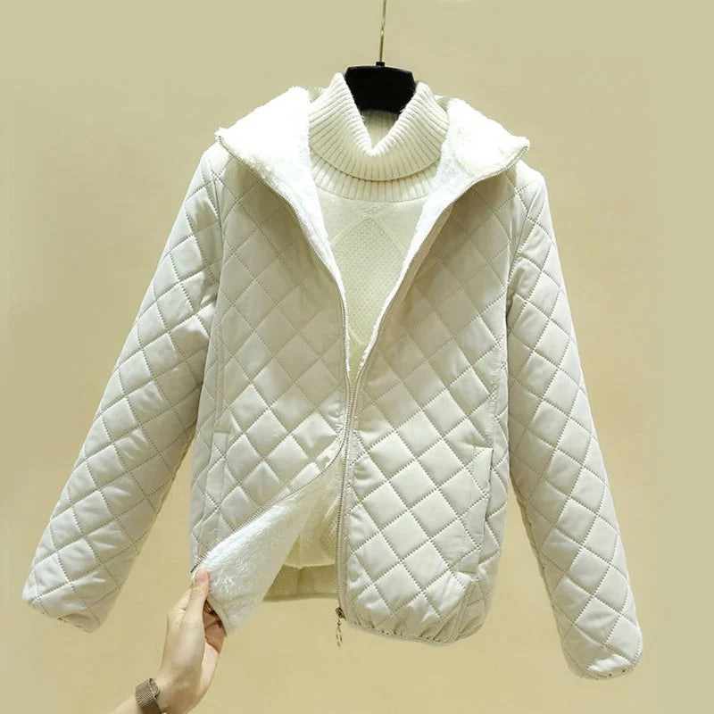 Gracefully Designed Jacket