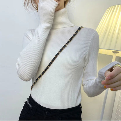 Elegantly Designed Sweater