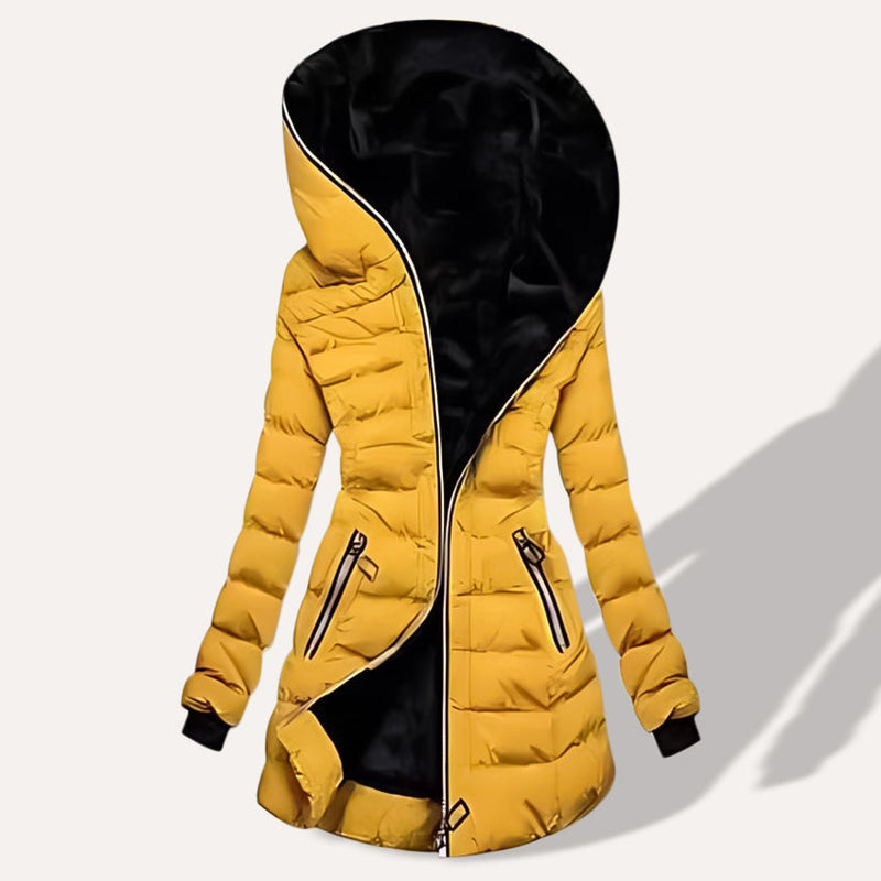 Beautifully Crafted Jacket
