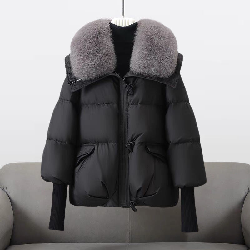 Elegantly Designed Coat