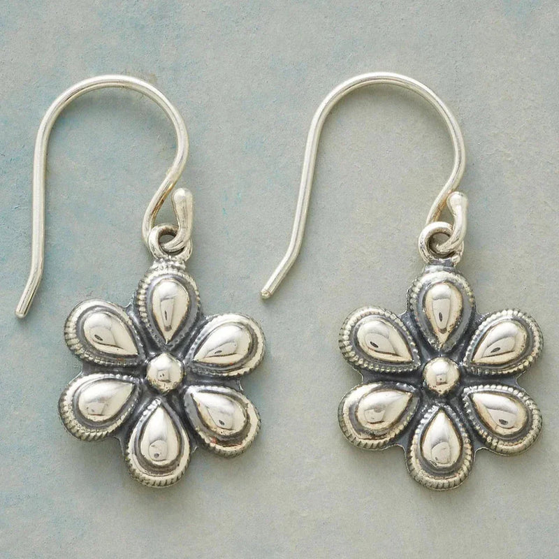 Charming Silver Earring for Any Occasion