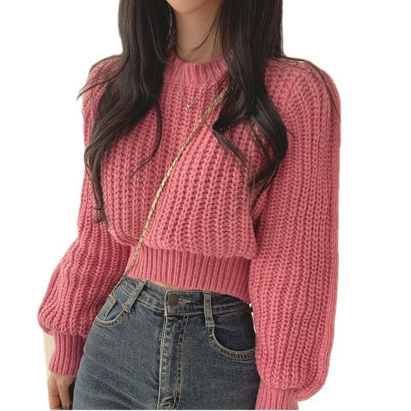 Elegantly Designed Sweater