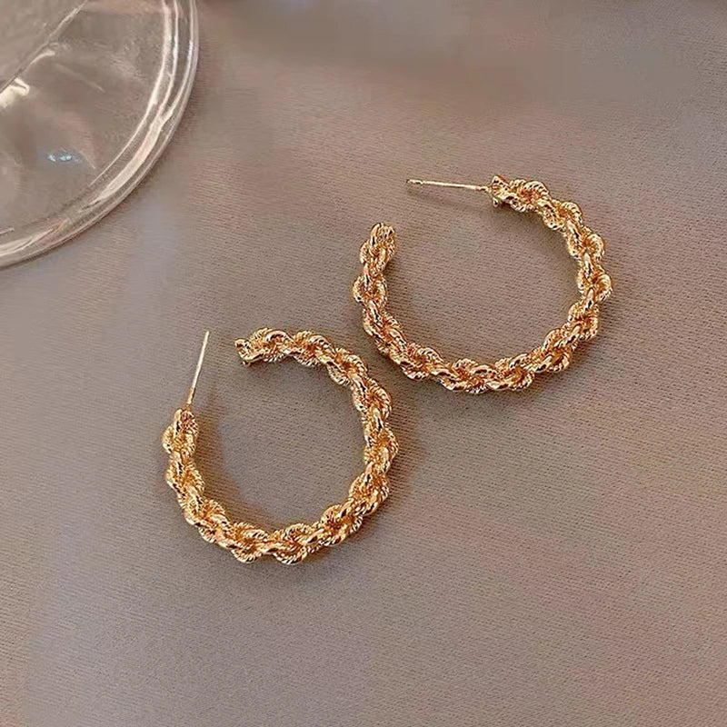 Stunning Earring for Daily Wear