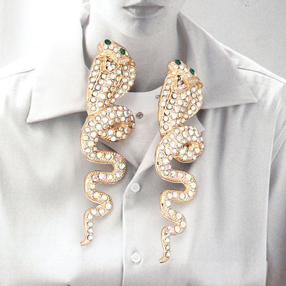 Classic Earring with Timeless Appeal