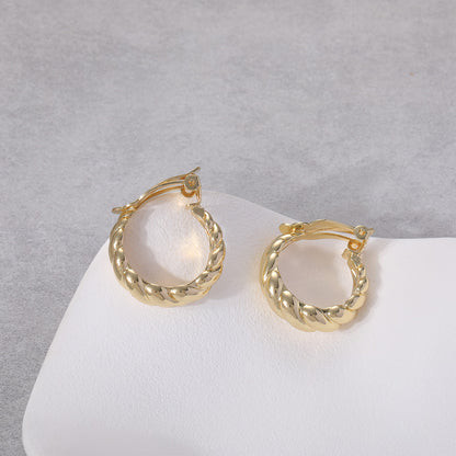 Stunning Earring for Daily Wear