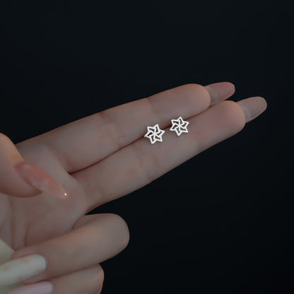 Charming Earring for Any Occasion