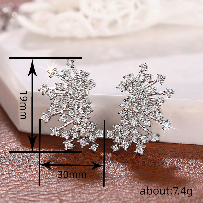 Charming Earring for Any Occasion