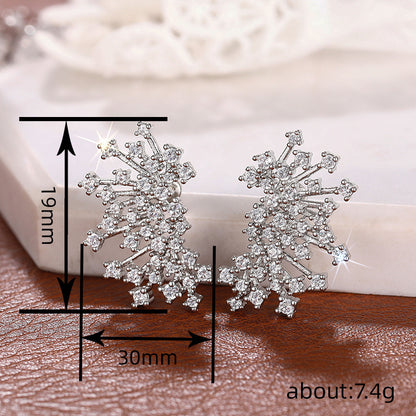Charming Earring for Any Occasion