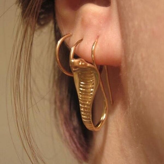 Classic Earring with Timeless Appeal
