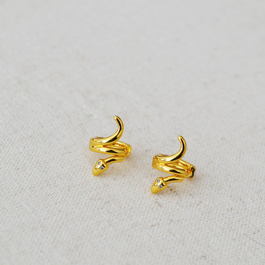 Charming Gold Earring for Any Occasion