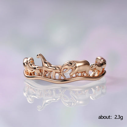Beautiful Ring with Unique Style