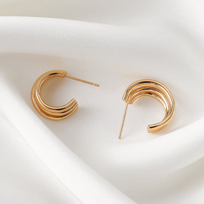 Stunning Earring for Daily Wear