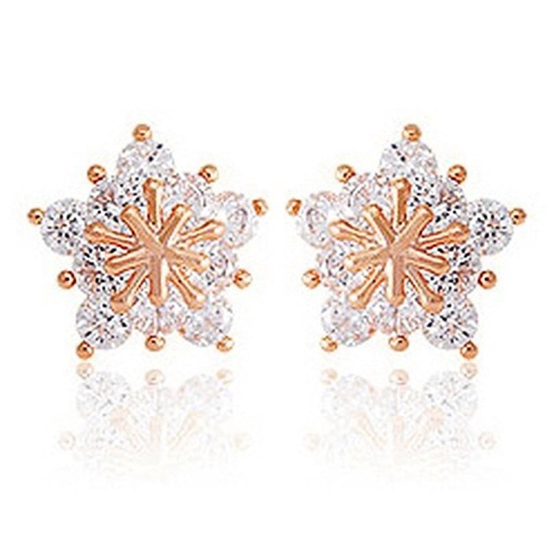 Classic Earring with Timeless Appeal