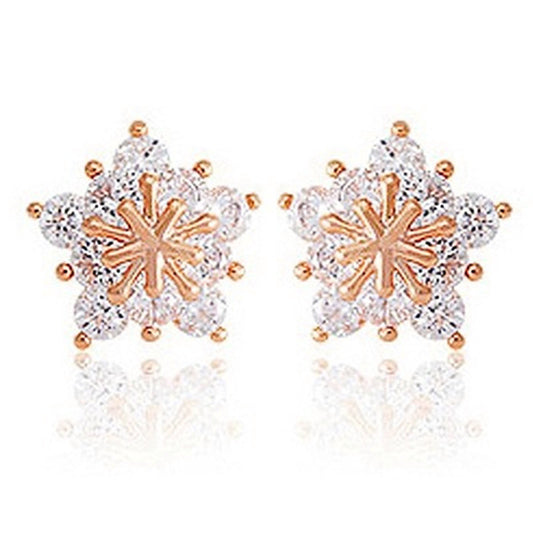 Classic Earring with Timeless Appeal