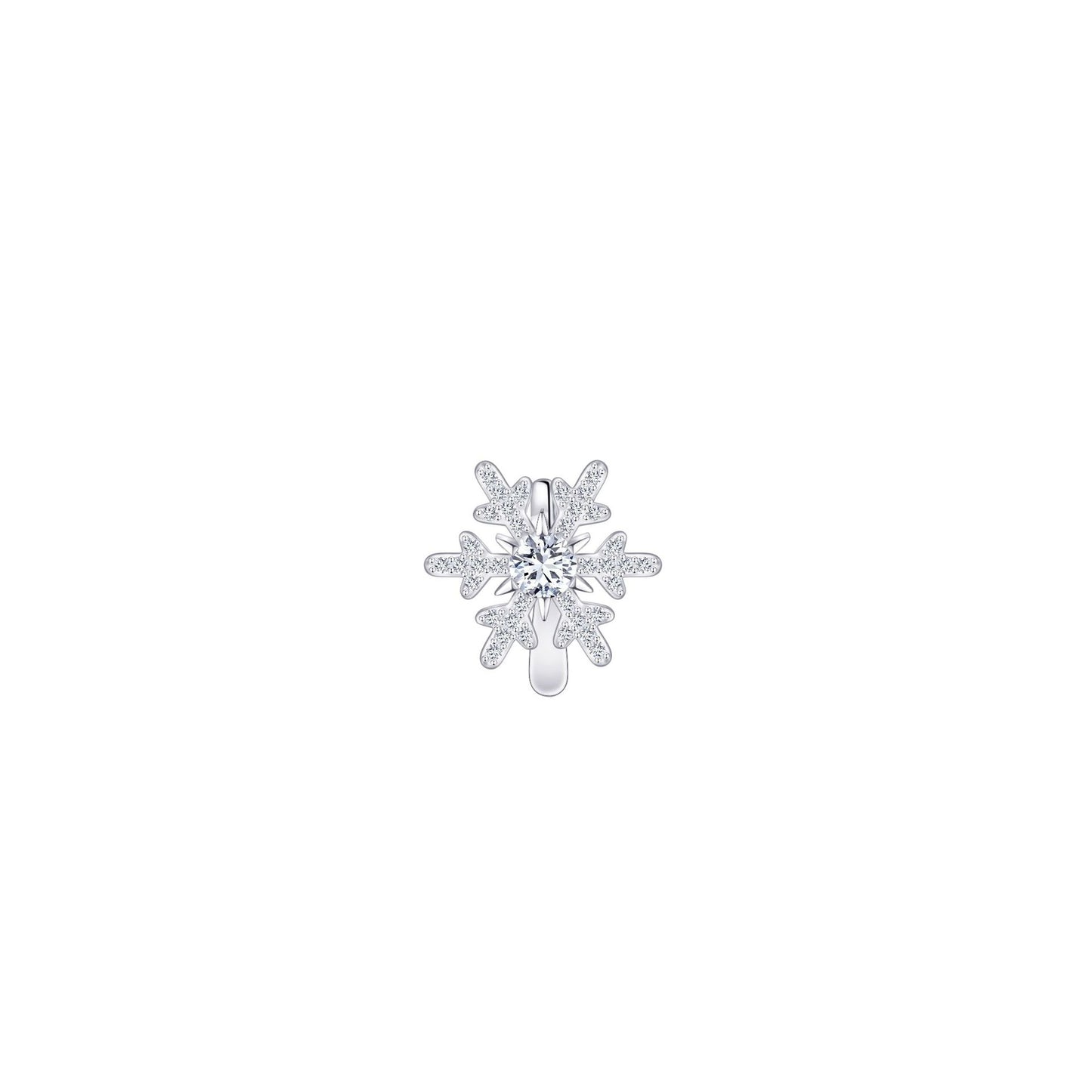 Charming Earring for Any Occasion