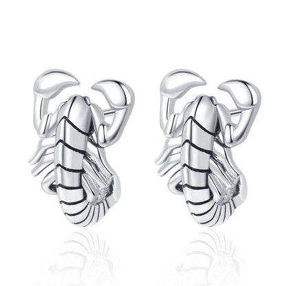 Elegant Silver Earring for Every Occasion