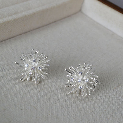 Beautiful Silver Earring with Unique Style