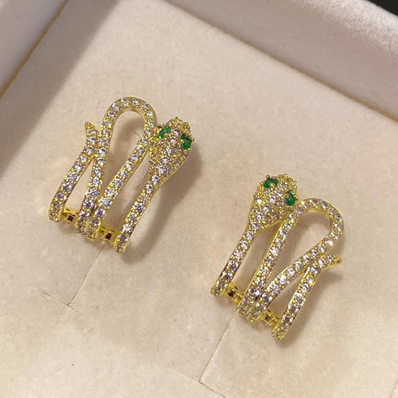 Charming Earring for Any Occasion