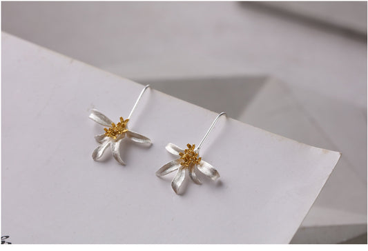 Beautiful Silver Earring with Unique Style