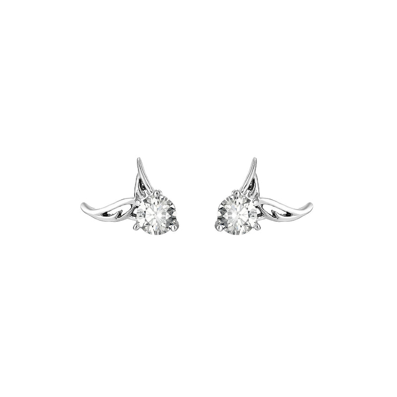 Charming Set for Any Occasion