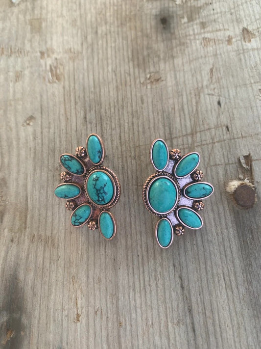 Charming Earring for Any Occasion