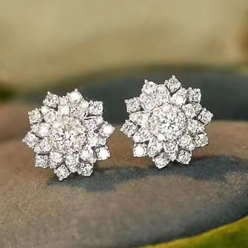 Beautiful Earring with Unique Style