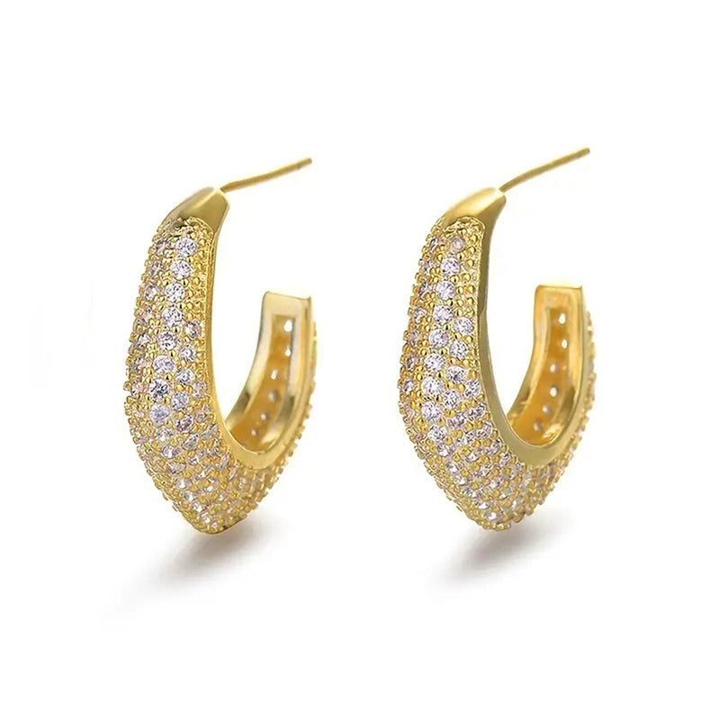 Beautiful Earring with Unique Style