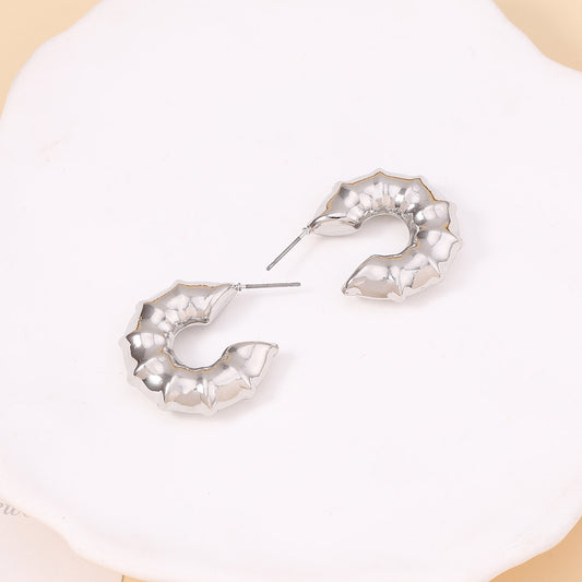 Charming Earring for Any Occasion