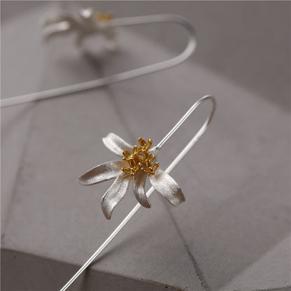 Beautiful Silver Earring with Unique Style