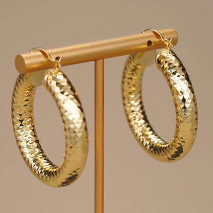 Stunning Earring for Daily Wear