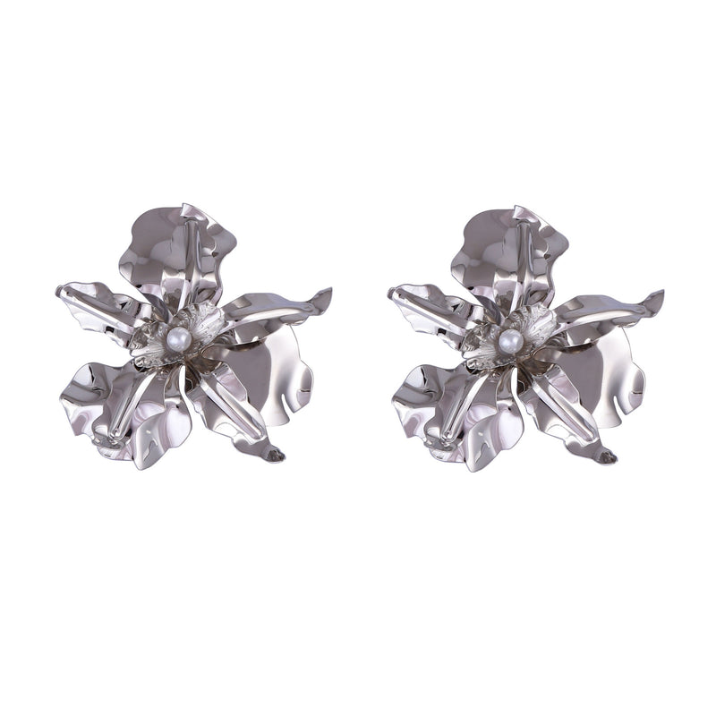 Charming Silver Earring for Any Occasion