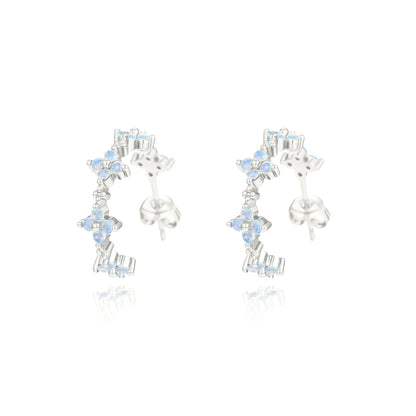 Beautiful Silver Earring with Unique Style