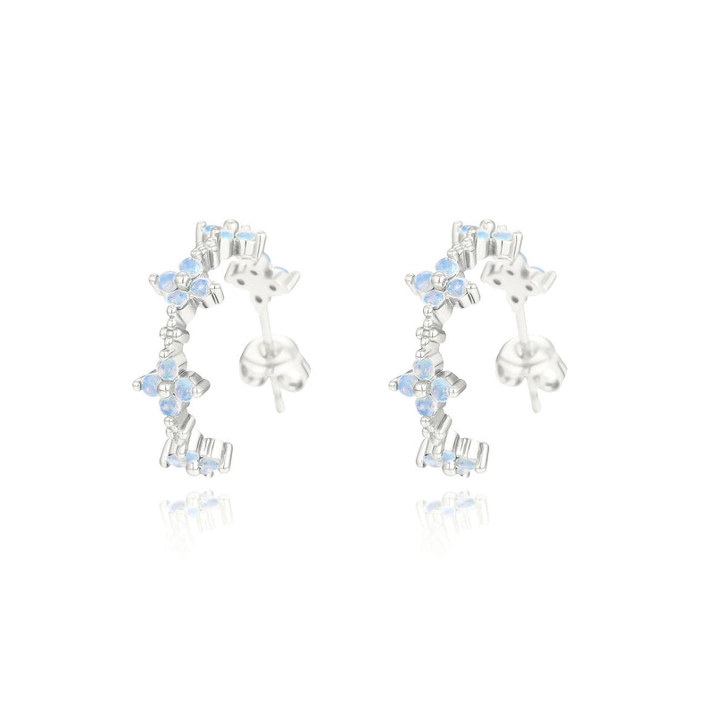 Beautiful Silver Earring with Unique Style